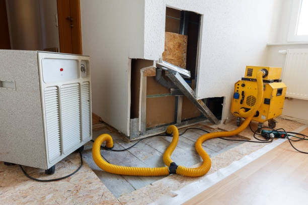  Elmira Heights, NY Mold Removal Pros