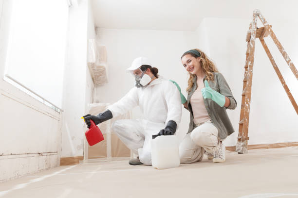 Best HVAC Mold Inspection and Cleaning  in Elmira Heights, NY